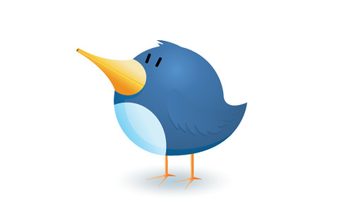 Twitter bird logo icon illustration
