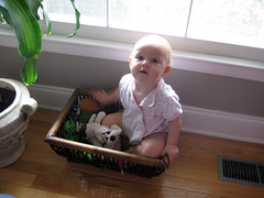 ena in a toybox
