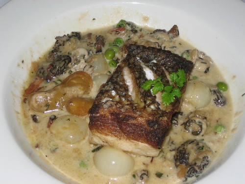Pan-Seared Wild Sea Bass with Morels, Cippolini Onions and Oyster Stew