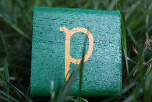Green P in the grass
