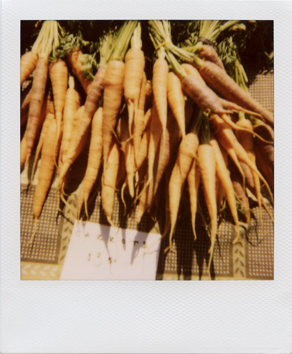 august: carrots