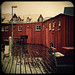 Rainy Day Red Sheds by helle-belle