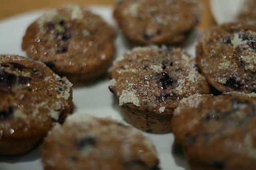 Blåbærmuffins, how to make blueberry muffins diggmat.com