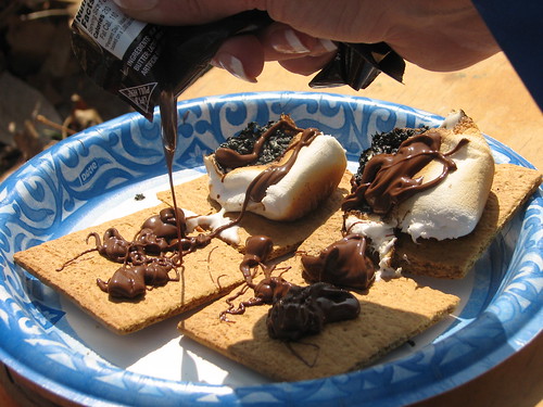 s'mores or...s'messes