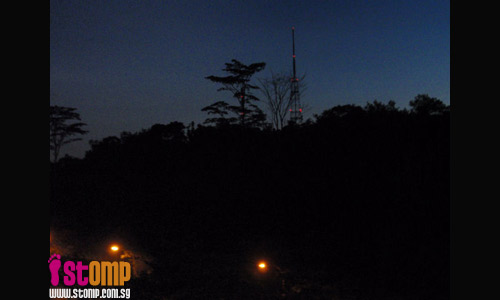 Dawn at Bukit Batok Nature Park
