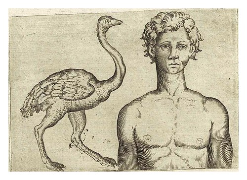 012-De humana physiognomonia- Giambattista della Porta 1586