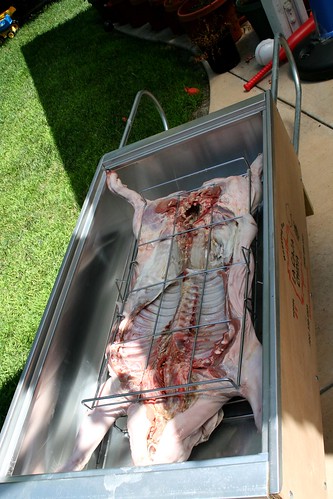 Starting the pig in the caja