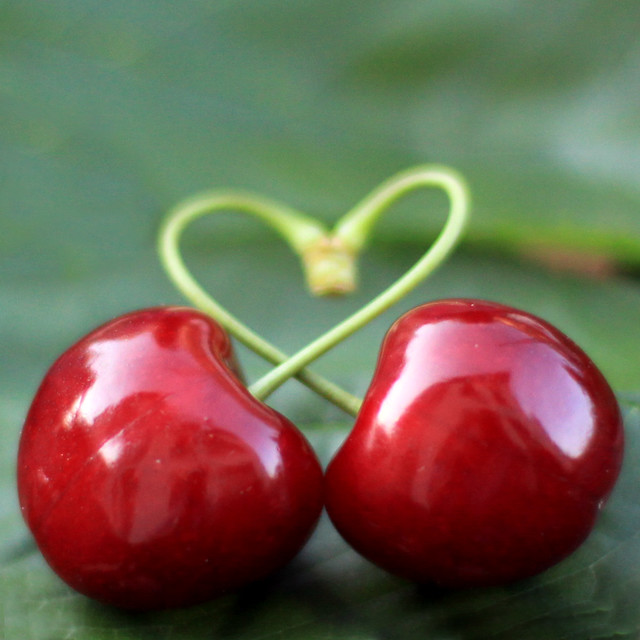 cherry love