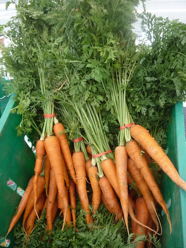 organic carrots farmers market