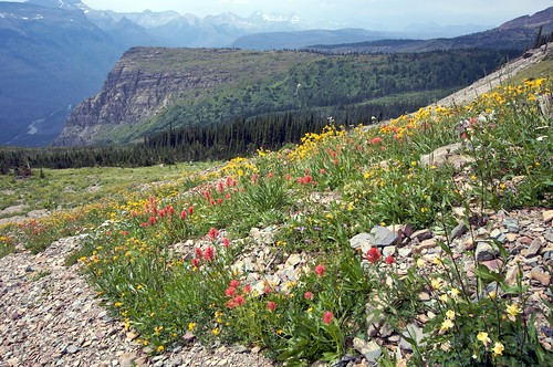 Highline Trail -- Glacier National Park