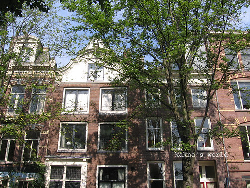 amsterdam_trees on street ©  kakna's world