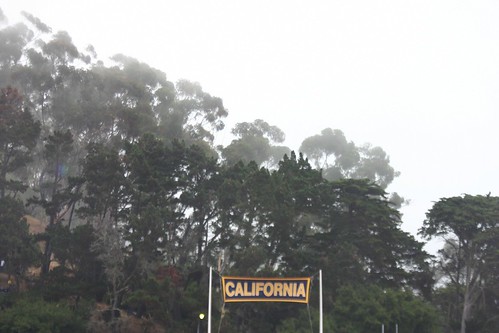 Foggy California