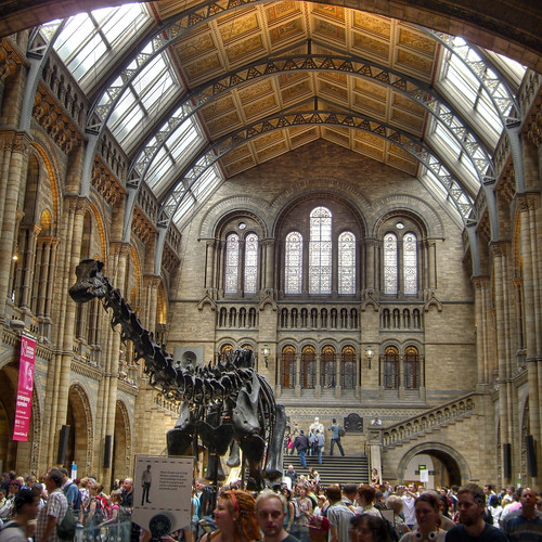 Tyrannosaurus rex in the Natural History Museum London