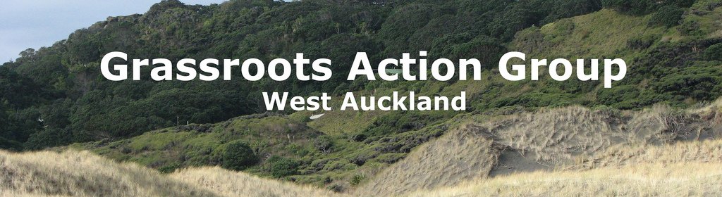 Grassroots Action Group