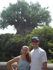 Clare & Dennis Tree of Life