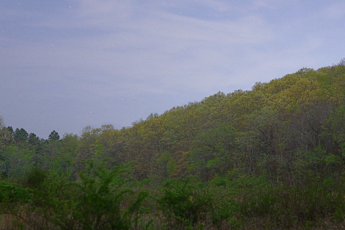 Forest 44 Conservation Area, near Valley Park, Missouri, USA - wooded hillside at dusk