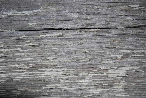 Wood Texture 06