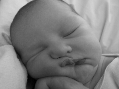 cute-baby-squish-face.jpg