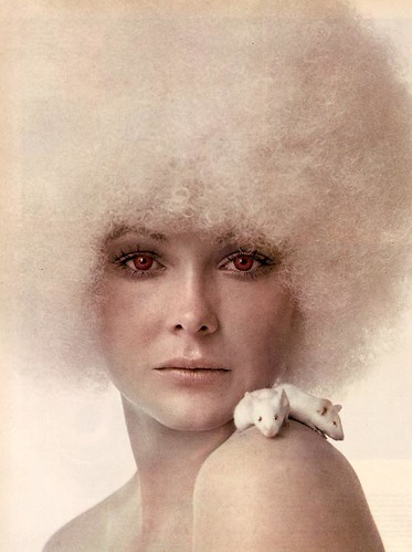 Photo Graphis '71: Albino