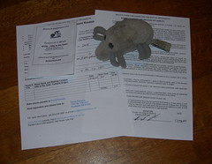 Dust Mite and Permanent paperwork