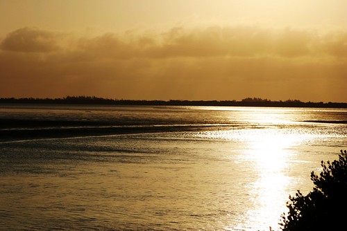 到七股潟湖看夕陽吹海風