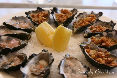 oysters1_blog