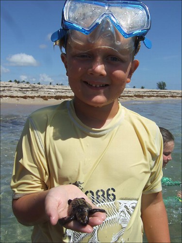 Casey with a loggerhead turtle hatchling!