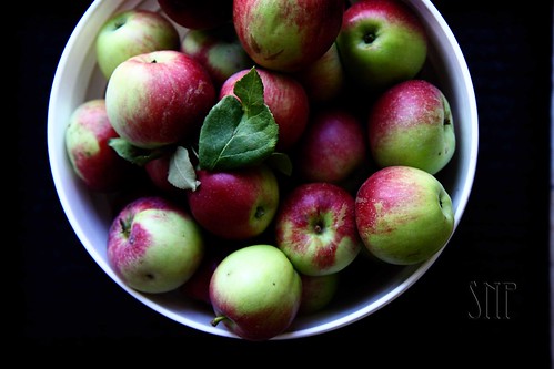 . apples .