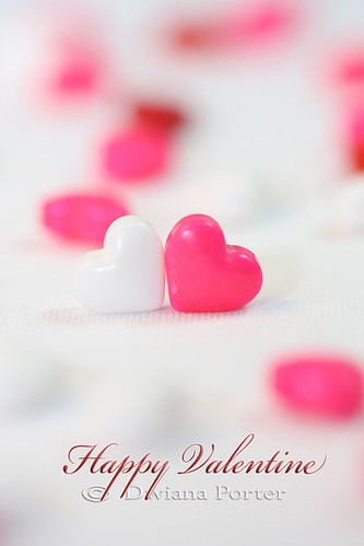 heart candy valentine