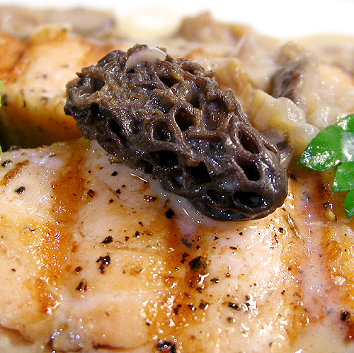 煎鮭魚佐羊肚菇和豆泥-090116