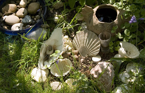 Shells and Pebbles with Pot