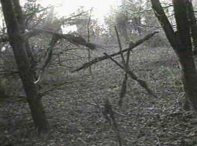blair-witch-project-photo2