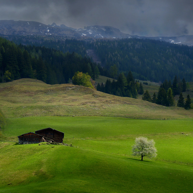 A touch of light on the green field in upper Austria by B?n