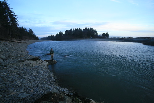 Scenic Skunking on the Hoh River