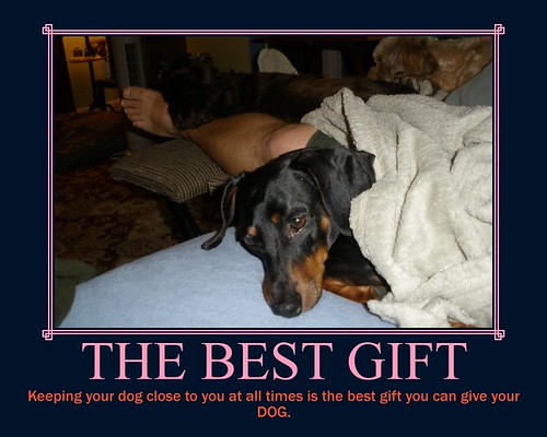 The Best Gift For A Dog par Tobyotter
