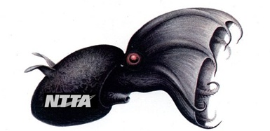 NTTA vampire squid