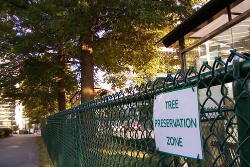 Tree Preservation Zone