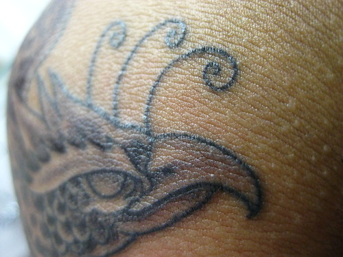 Tatuagem Fenix Phoenix Macro Tattoo 