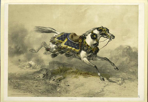 Caballo arabe (1851)
