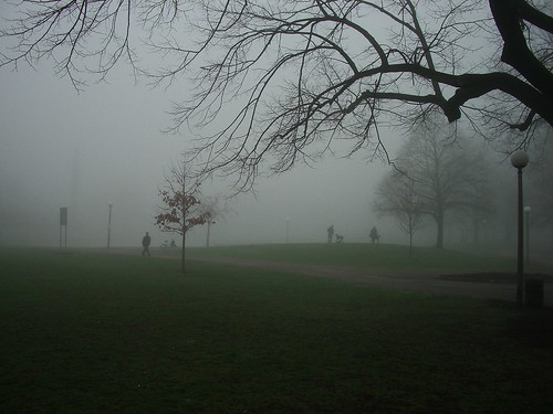 Foggy Morning West Park