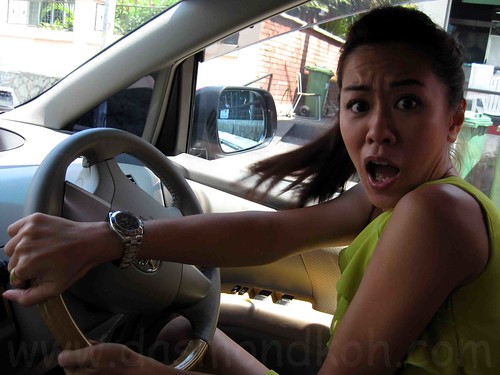 Driving Miss Foodie - Michelle Chia
