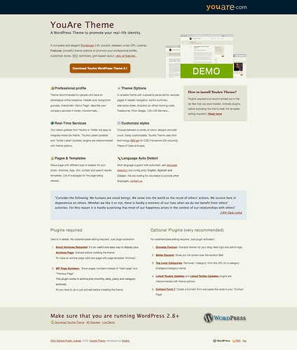 You Are The Theme - WordPress Template