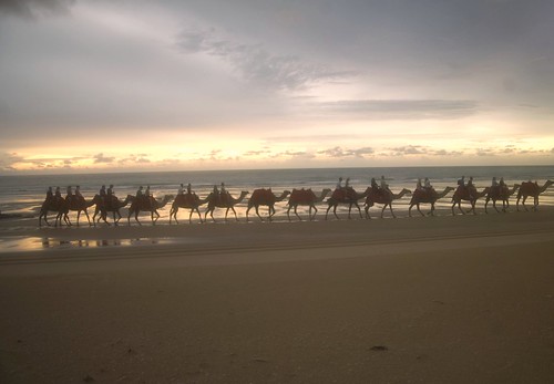 broome camels Untitled_Panorama2 copy