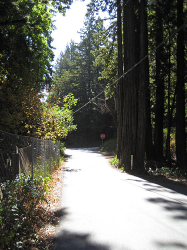 End of Redwood Gulch Road