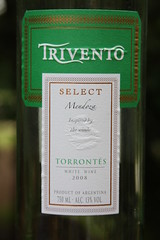 Trivento Torrontes White Wine 2008