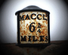 'Spotlight on Macc' by ;-) SHAGGY