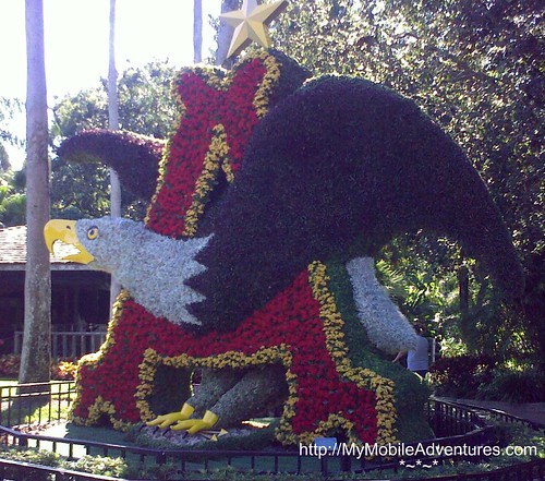 11112008249-topiary-eagle