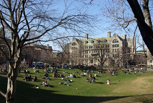 Sunbathing on the lawn / McGill