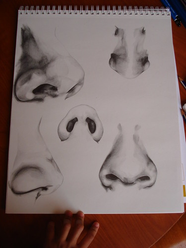 Nose Sketches