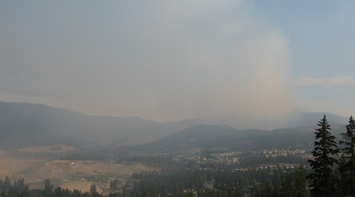 Rose Valley Forest Fire